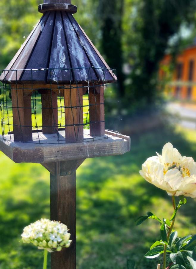 Desart School Garden Chalet Kilkenny Ngoại thất bức ảnh